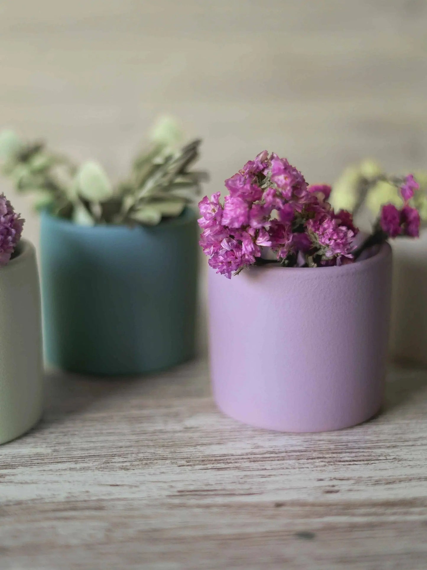 Petits pots pour cactus "Smooth" Portugal