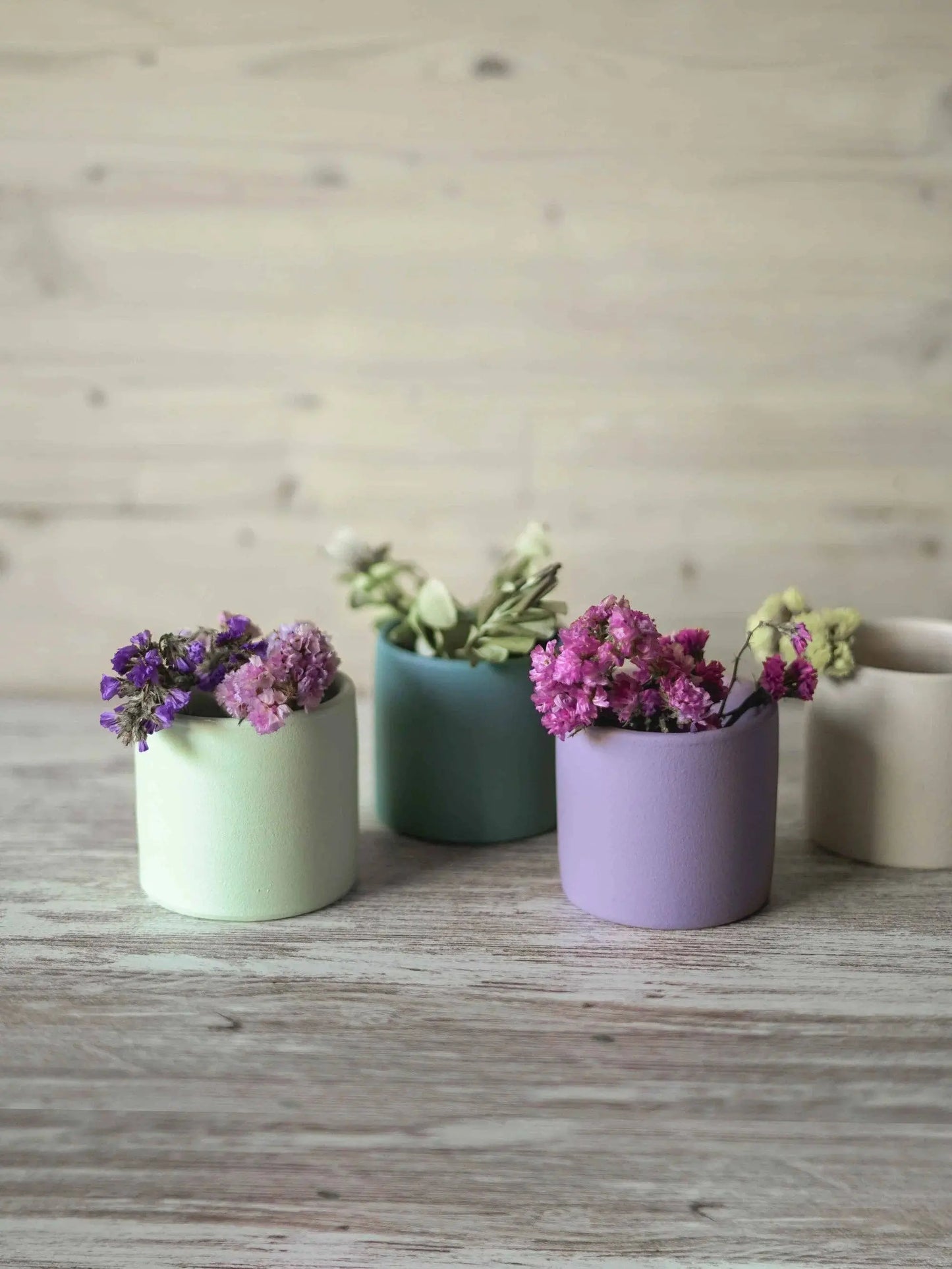 Petits pots pour cactus "Smooth" Portugal