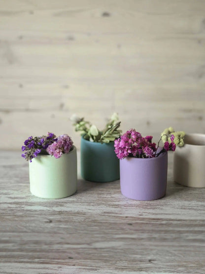 Petits pots pour cactus "Smooth" Portugal