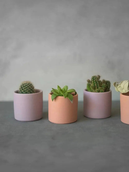 Petits pots pour cactus "Smooth" Portugal